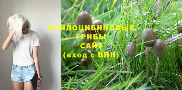 прущая мука Беломорск
