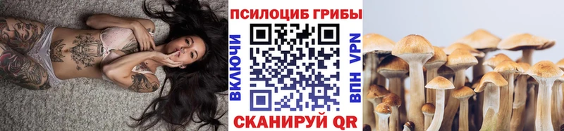 Псилоцибиновые грибы Psilocybe  Городец 