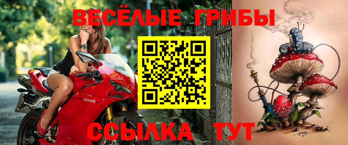 Мефедрон кристаллы  ГАШИШ  Каннабис  Городец  Вход с VPN  Cocaine  ЭКСТАЗИ 
