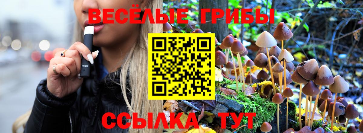 Псилоцибиновые грибы Magic Shrooms  где найти   Городец  Галлюциногенные грибы GOLDEN TEACHER  Вход с VPN 